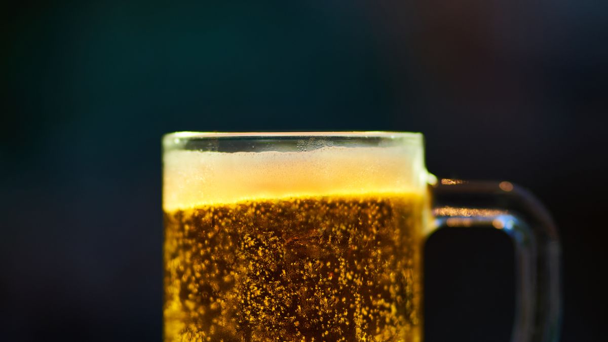 Friends clinking beer glasses together in celebration